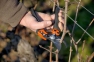 Эргономический секатор Bahco PXR-S2 2