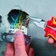 Пассатижи удлиненные со страховочным креплением, 145 мм Knipex 08 26 145 T 10