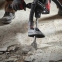 Долото для плитки Milwaukee SDS-Max SLEDGE™ 50 × 300 мм (4932478271) 3
