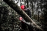 Пила ланцюгова акумуляторна Milwaukee M18 FCHS-0 (4933464723) 16